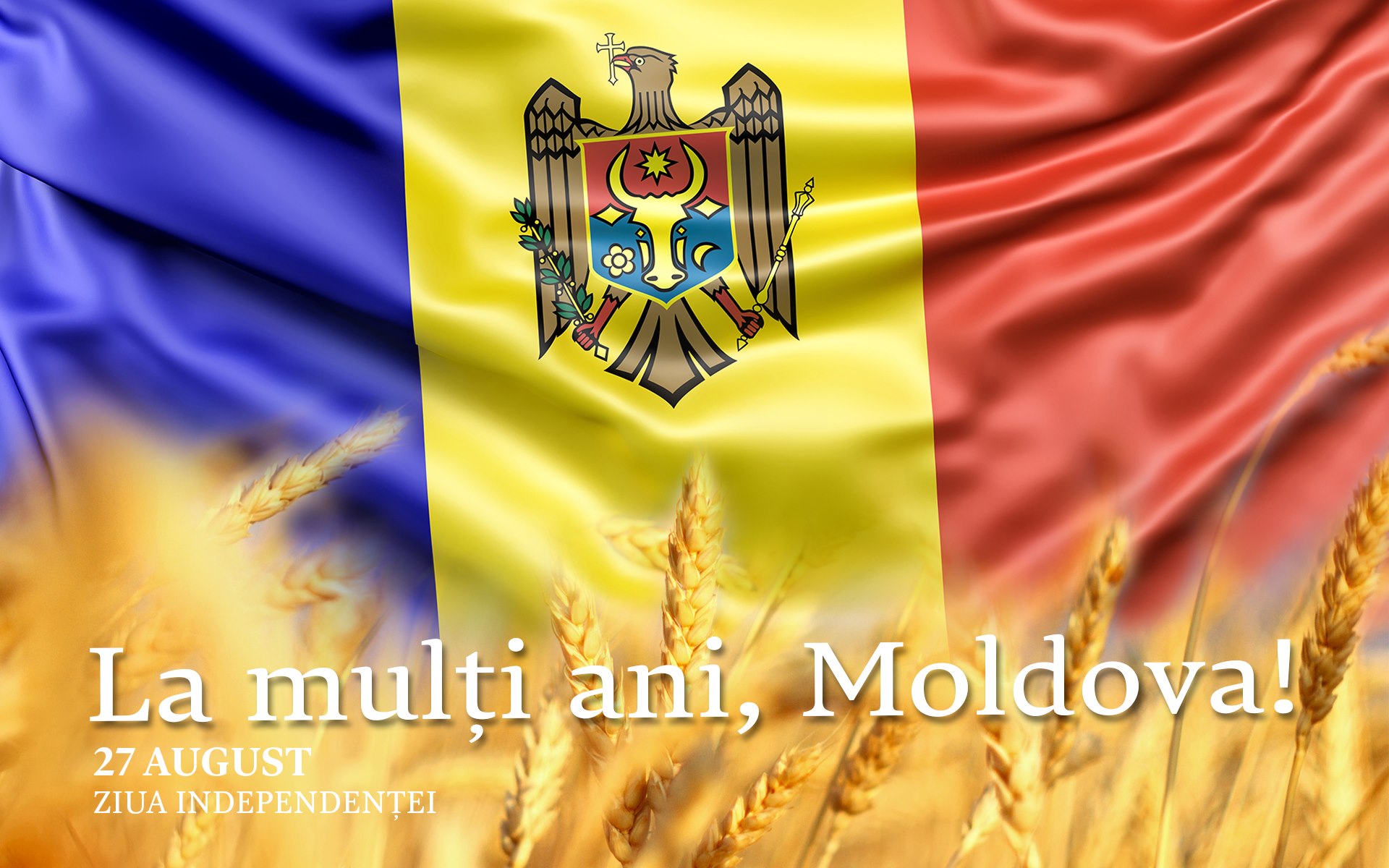 Ziua Independentei Site | INPRINT COM